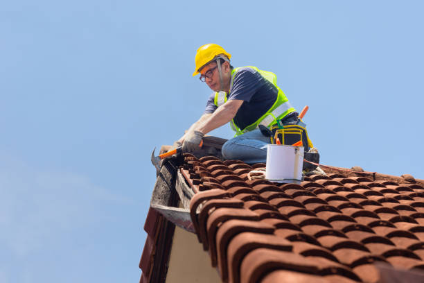 Best Skylight Installation and Repair  in Alpine, UT